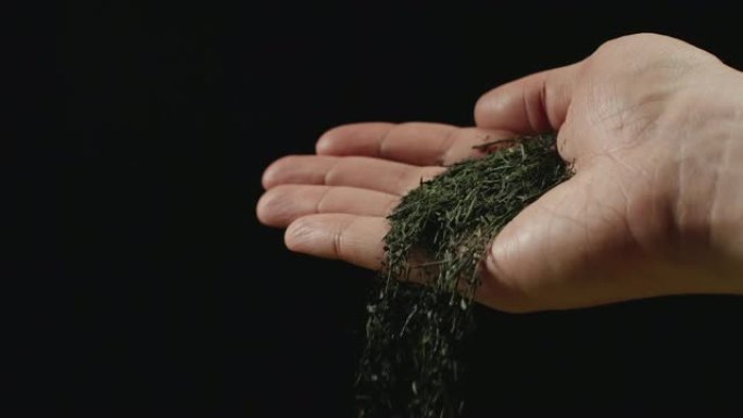 慢动作: 干绿茶叶从人的手掌前视掉落