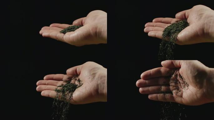 慢动作: 干绿茶叶从人的手掌前视掉落