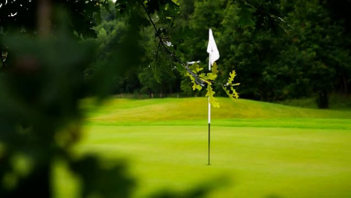 高尔夫球场洞、绿色和旗帜