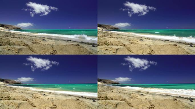富埃特文图拉海滩上的碧绿水浪