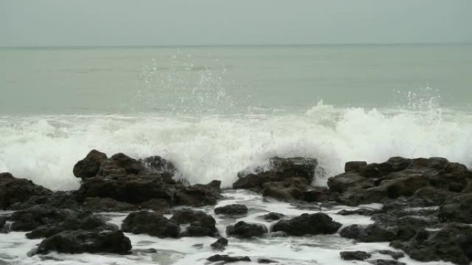 美丽的海景。自然的组成