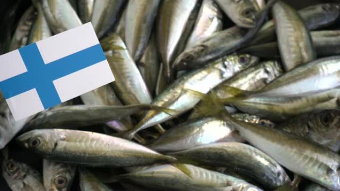 芬兰的渔业