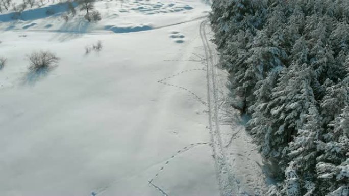 晴天冬季松林和雪路的鸟瞰图