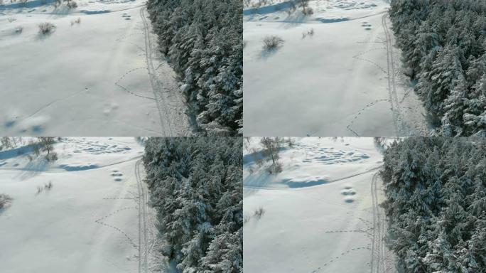 晴天冬季松林和雪路的鸟瞰图