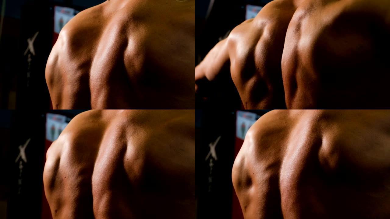 强壮的男性背部特写。健美运动员对胸部肌肉进行锻炼