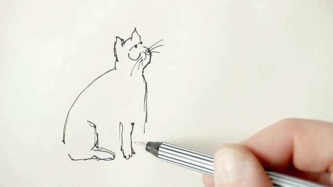 画一只卡通猫。