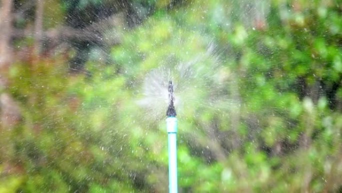 慢动作特写镜头在花园里洒水的草地上。水滴的镜头散布在洒水器周围，并以绿树背景反射闪闪发光的阳光。