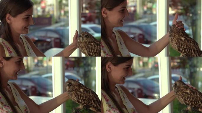 雌性在咖啡馆抚摸猫头鹰并欢欣鼓舞