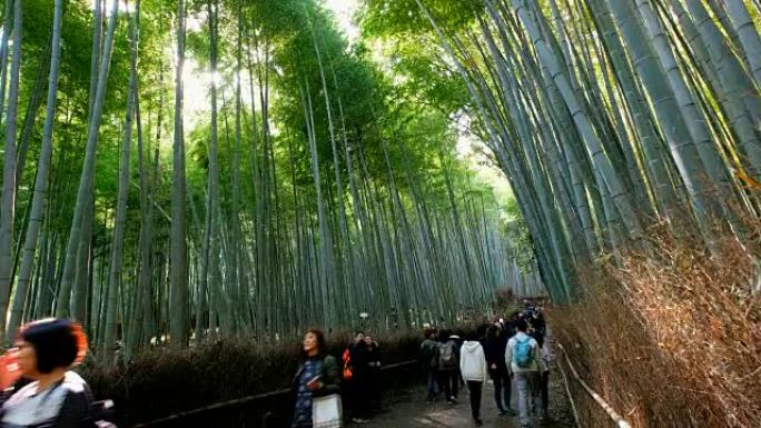 在日本京都岚山的竹林中漫步的游客