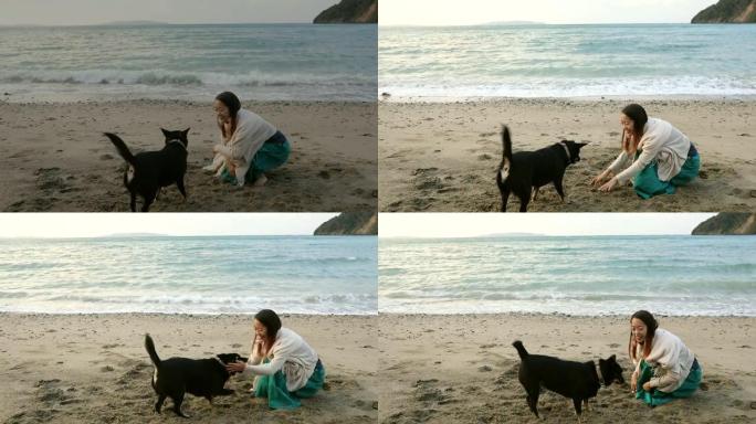 在海滩上与宠物狗打架