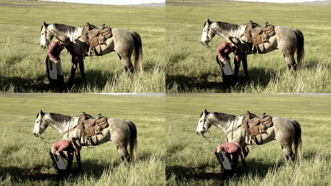 牧场上的年轻女牛仔检查她的马的马蹄铁
