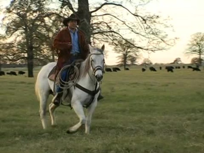 西班牙裔牛仔在德克萨斯牧场6上骑着白马