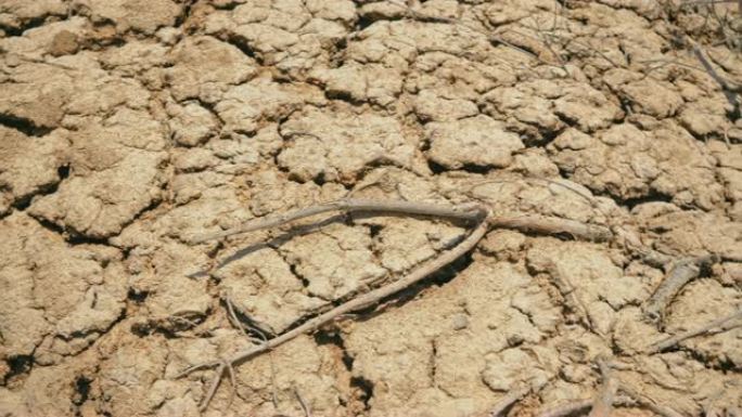 干旱期间干燥死亡和破裂的地球的特写镜头