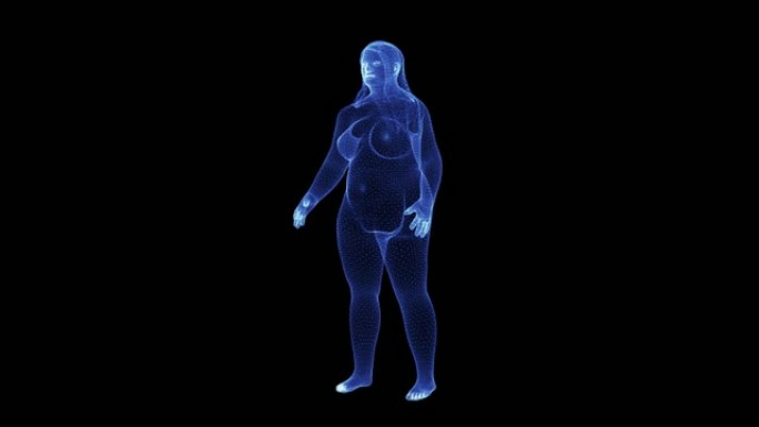 旋转的脂肪女性粒子体的全息图