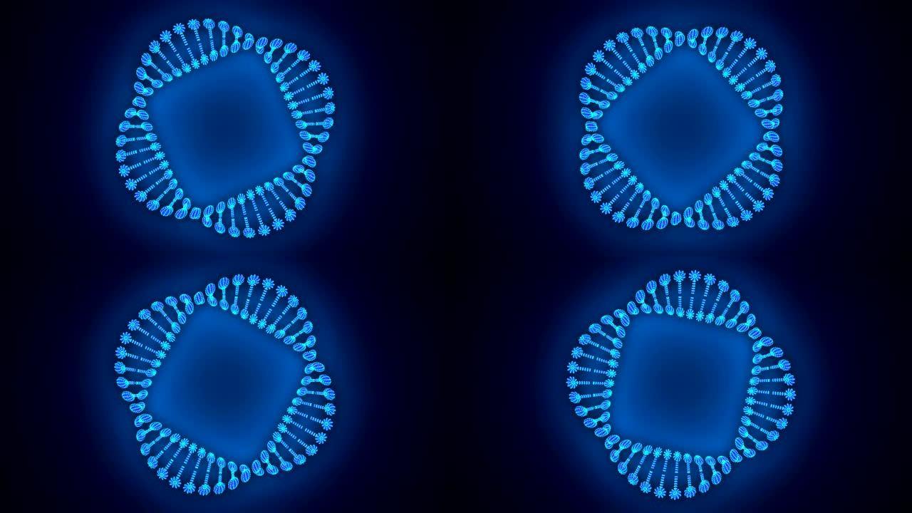 圆中的DNA链，循环旋转3D动画