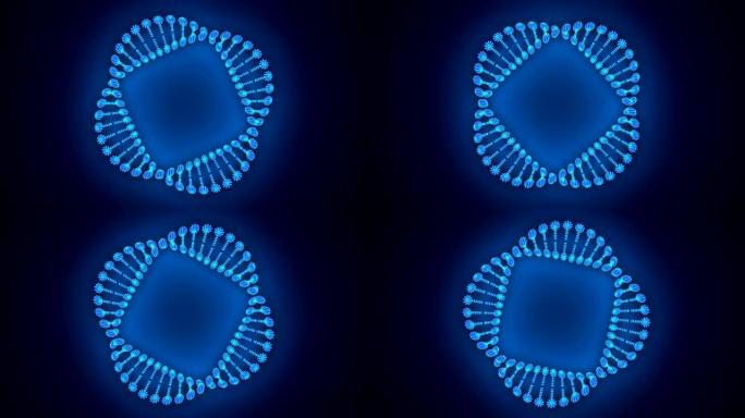 圆中的DNA链，循环旋转3D动画