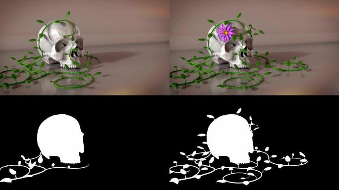 白色头骨被带有alpha面具的洋红色花3D动画过度生长
