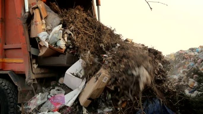 垃圾填埋场上的垃圾车倾倒垃圾。运输垃圾到废物的车辆