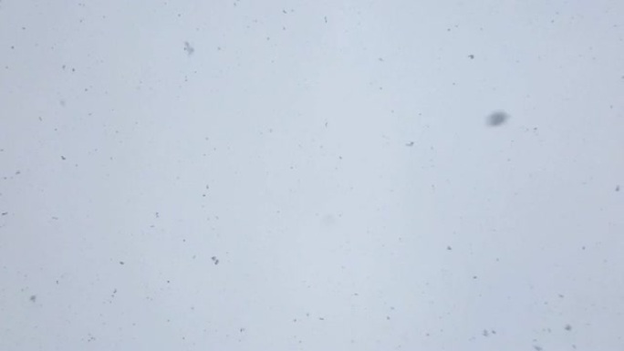 缓缓飘落的雪花对着洁白的天空