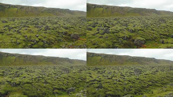 秋天，多云的天气，移动镜头，在冰岛的山丘附近被苔藓覆盖的老熔岩场