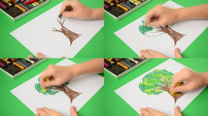 孩子们在纸上画画。加速视频。画一棵树。