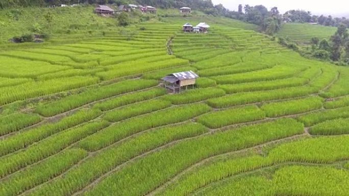 鸟瞰图: 早晨有薄雾和山的稻田间小屋的风景。