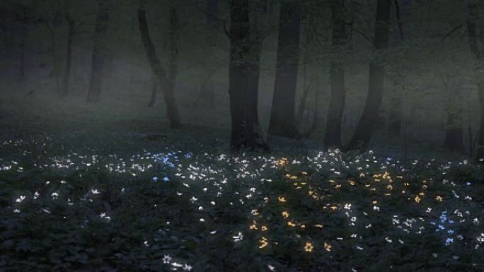 带饱和海葵的夜魔法森林。五颜六色的磷光花。