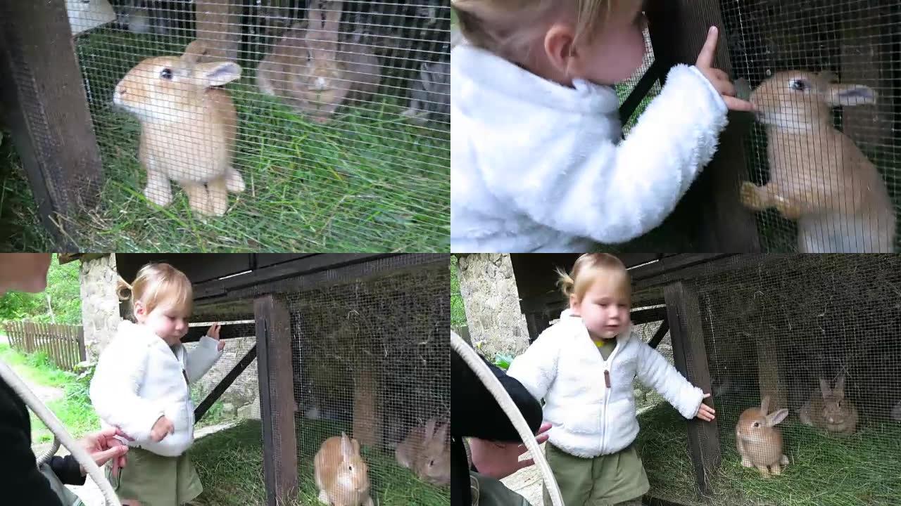 兔子和女婴