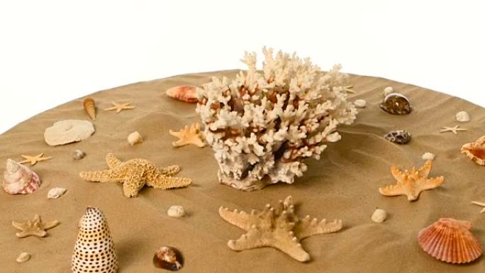 海星，珊瑚和贝壳在沙滩上，白色，旋转