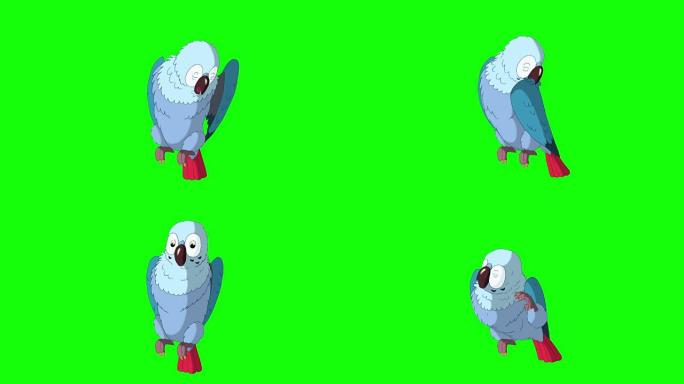 蓝鹦鹉清洁羽毛。经典迪士尼风格动画。