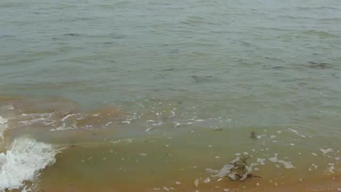 小浪溅起在奥马哈海滩岸边