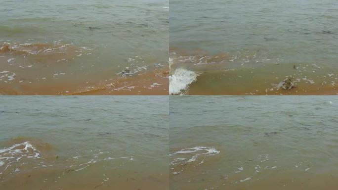 小浪溅起在奥马哈海滩岸边