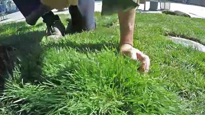 工人用斧头割草以进行新的草坪慢动作