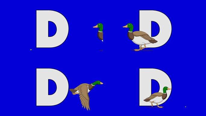 字母D和鸭子 (前景)