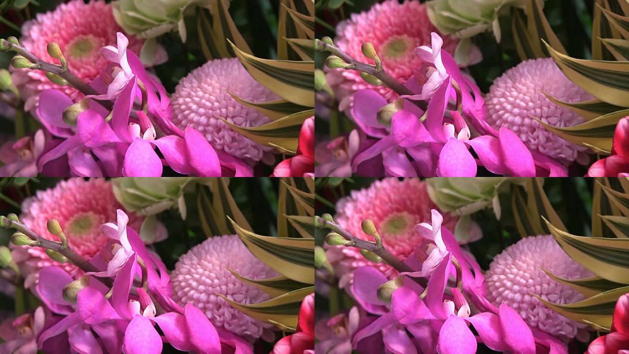 甜豌豆和菊花插花近距离拍摄