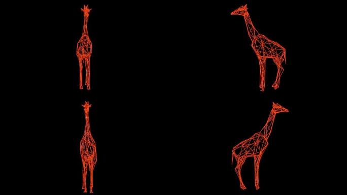 孤立长颈鹿全息图旋转的3d渲染-线框模型