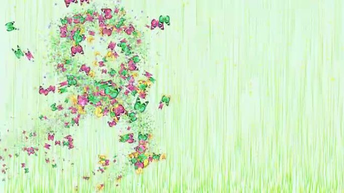 动画彩色蝴蝶为妇女节设计