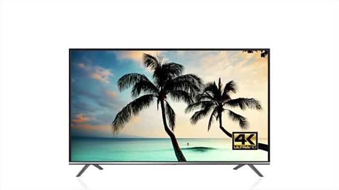 4k超高清电视、高分辨率视频超高清标志、海滩和棕榈树视频