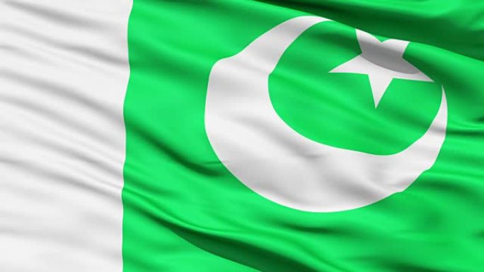 挥舞巴基斯坦国旗