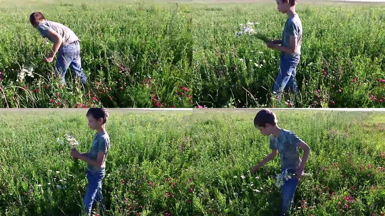 十几岁的男孩在草地上摘花。