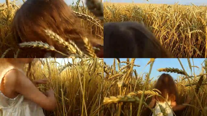 小女孩偷偷穿过茂密高高的小麦。小麦出生时非常好。小麦成熟了。很快它将开始收获。
