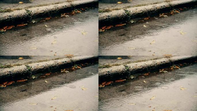 秋天下雨。雨滴落在水泥路面上，水和黄色和绿色的叶子掉落