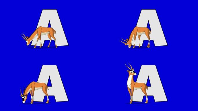 字母A和羚羊 (前景)