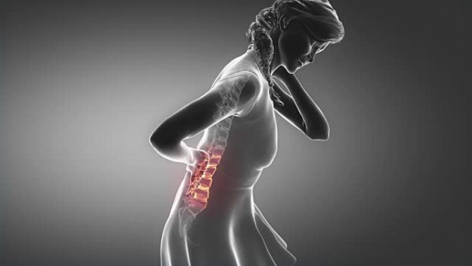 女性脊椎损伤-脊椎损伤概念