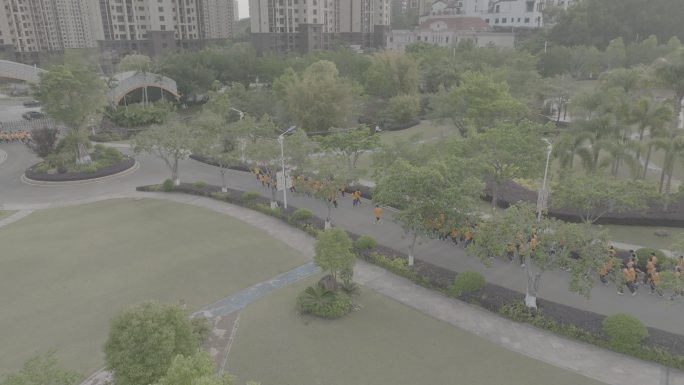 学校 跑操 体锻课 运动 学生 操场