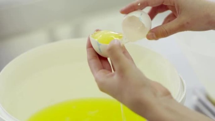 雌性手打破鸡蛋并将蛋黄与蛋白质分离