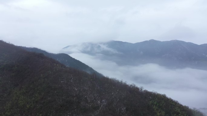 林中云雾 山 雾 森林 大雾