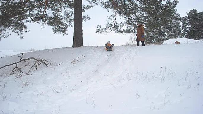 女孩笑冬天从公园的小山上滚来滚去，快乐的孩子在雪地里笑。