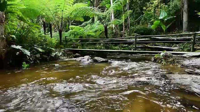 泰国清迈Doi Inthanon国家公园的Siri Phum瀑布