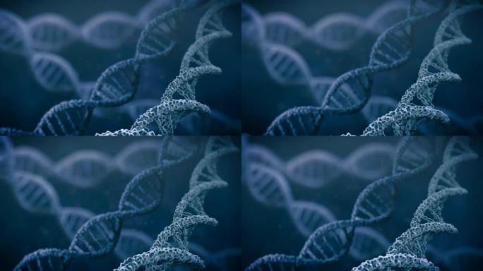 蓝色背景上的DNA双螺旋旋转分子。3D渲染动画。